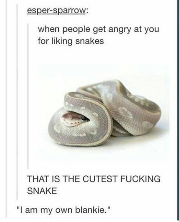Snakes Can Be Friends (43 pics)
