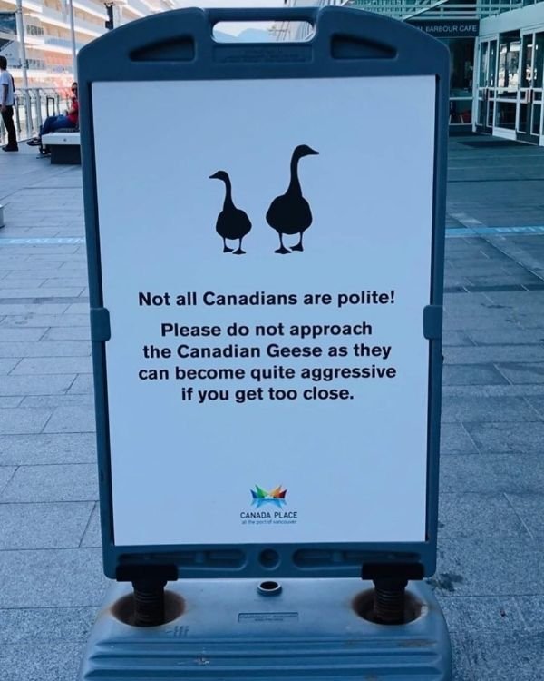 Welcome To Canada (29 pics)