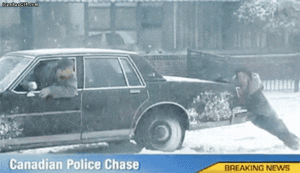 Welcome To Canada (29 pics)
