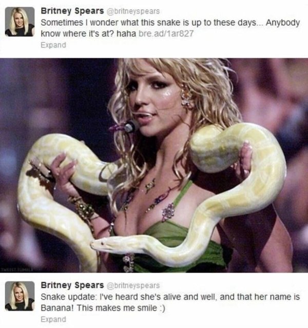 Snakes Can Be Friends (43 pics)