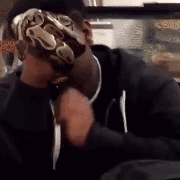 Snakes Can Be Friends (43 pics)