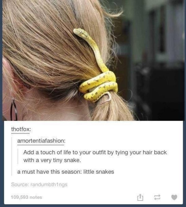 Snakes Can Be Friends (43 pics)