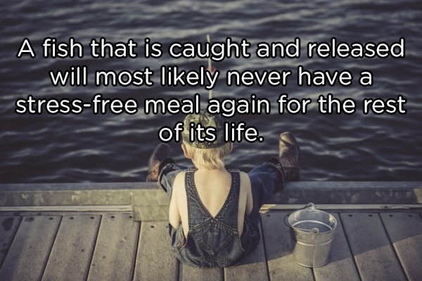 Shower Thoughts (20 pics)