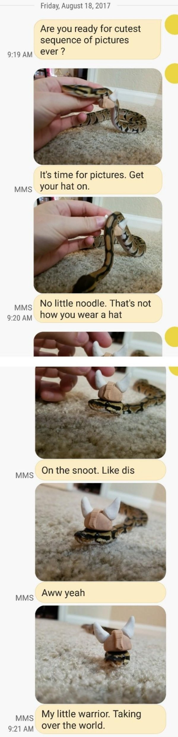 Snakes Can Be Friends (43 pics)