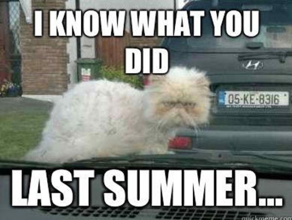 Get Ready For The Summer With This Summer Memes (42 pics)