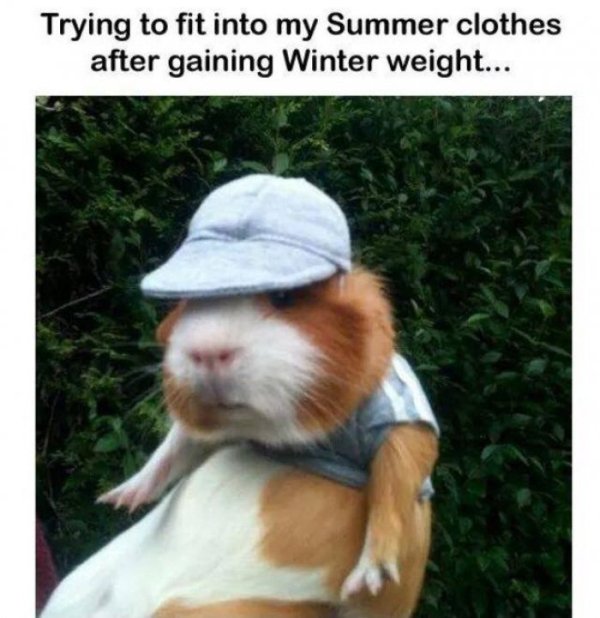 Get Ready For The Summer With This Summer Memes (42 pics)