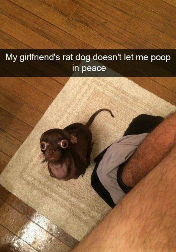 Acid Picdump. Part 2 (91 pics)