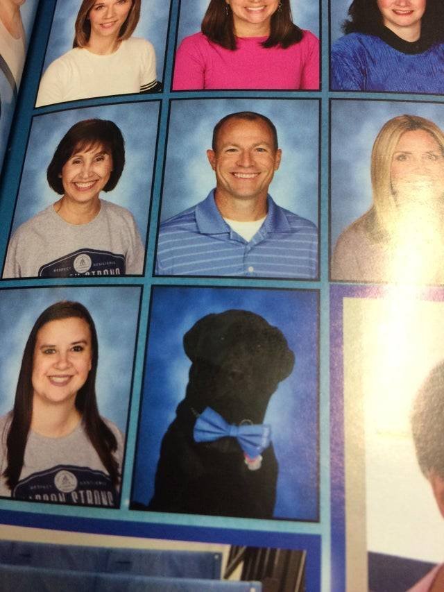 Acid Picdump. Part 2 (91 pics)