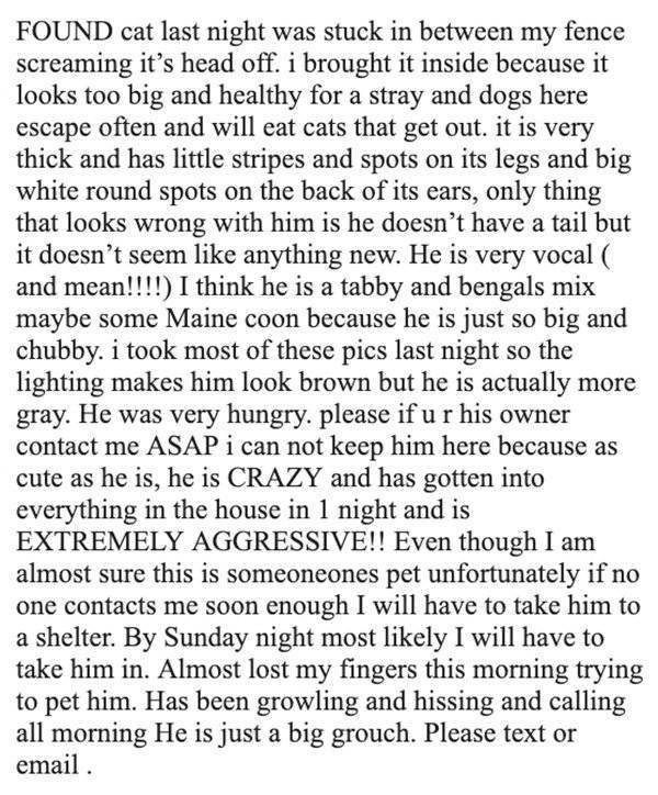 Guy Saved A Cat And Wanted To Return It To Its Owners. But It Was Not A Normal Cat (7 pics)
