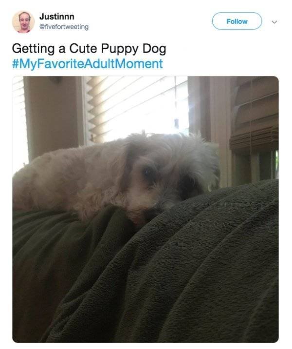 Favorite Adult Moments (19 pics)