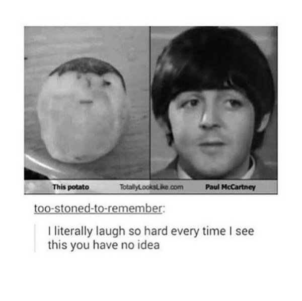 Funny Beatles Memes (32 pics)