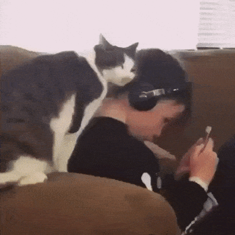 Acid Gifdump, June 03 (25 gifs)