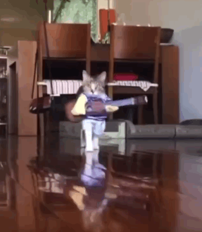 Acid Gifdump, June 03 (25 gifs)