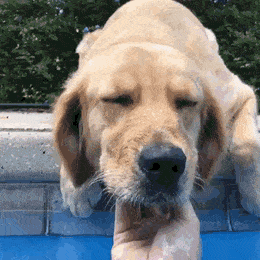 Acid Gifdump, June 03 (25 gifs)
