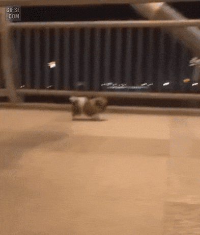 Acid Gifdump, June 03 (25 gifs)