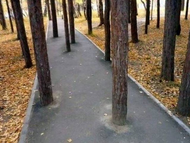 Totally Nailed It (47 pics)