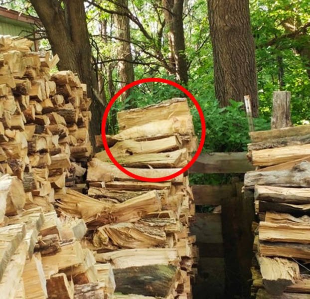 Can You Spot It? (36 pics)