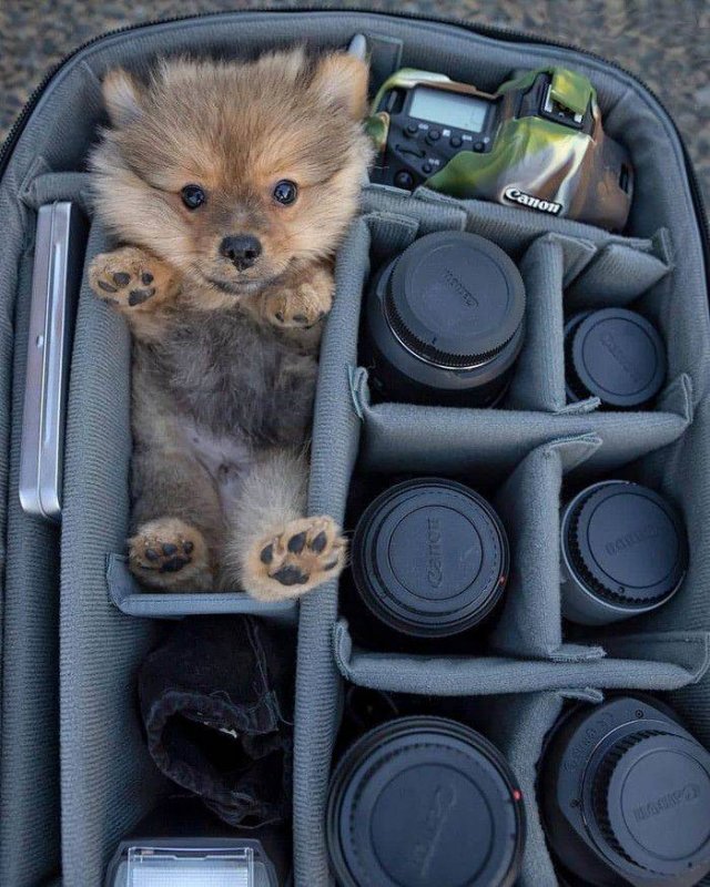 Acid Picdump. Part 1 (98 pics)