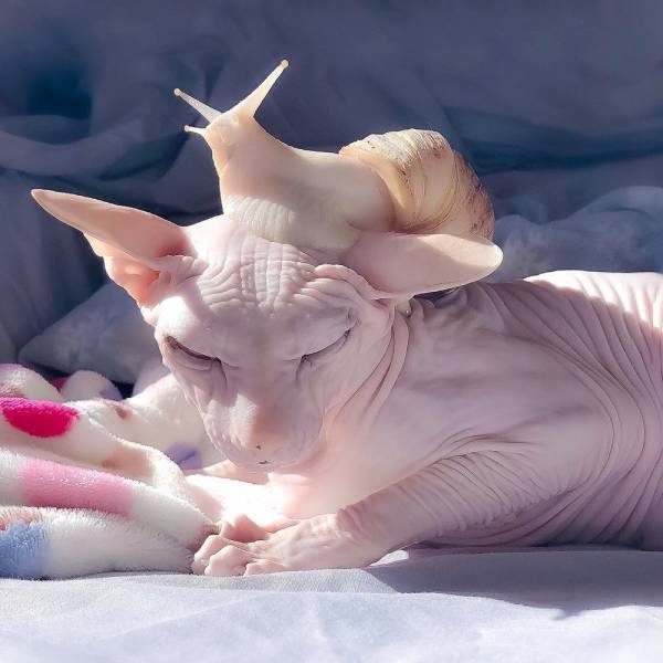 Acid Picdump. Part 1 (98 pics)