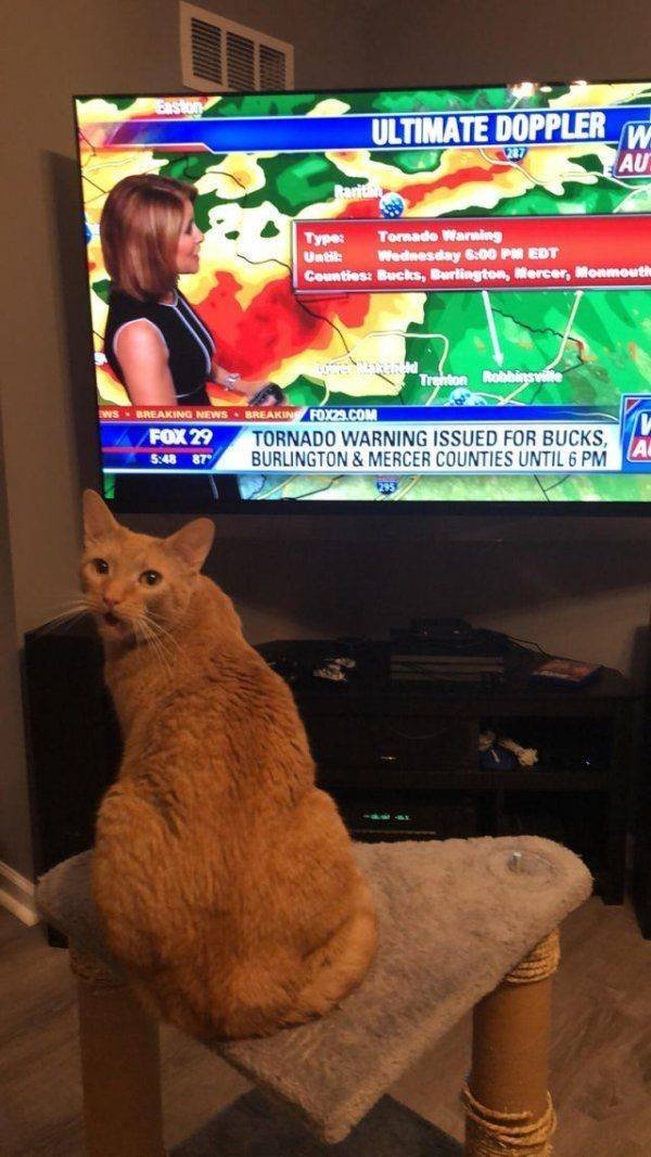 Acid Picdump. Part 1 (98 pics)