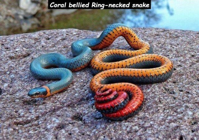 Acid Picdump. Part 1 (98 pics)