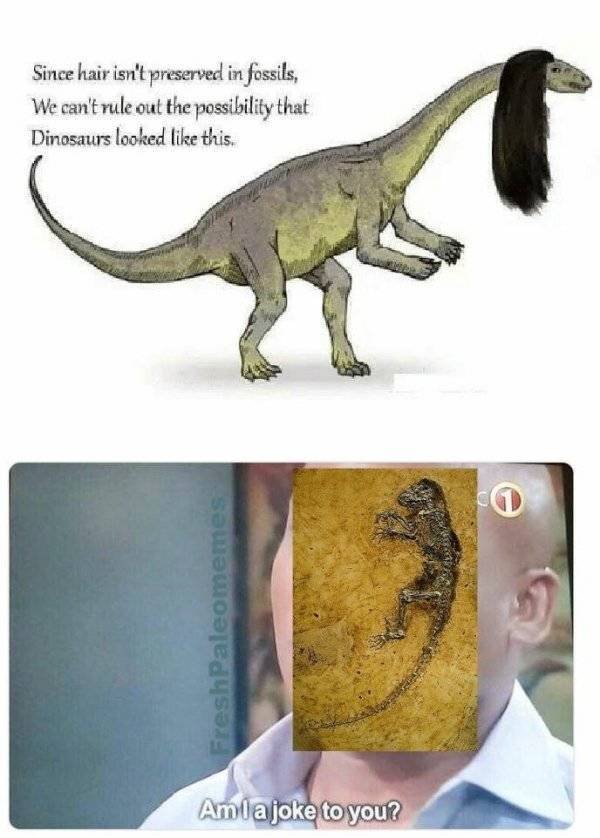 Prehistoric Memes (32 pics)