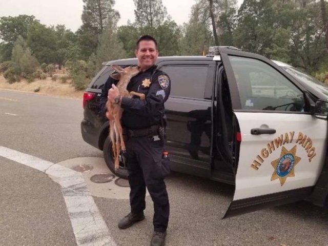 Police Has Fun (24 pics)