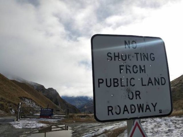 I Do What I Want (34 pics)