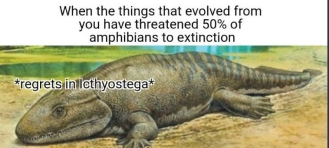 Prehistoric Memes (32 pics)