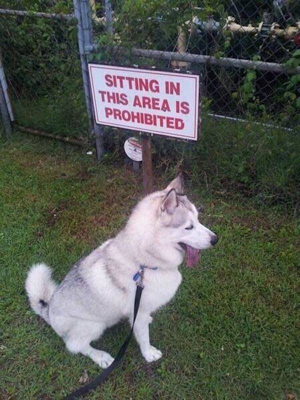 I Do What I Want (34 pics)