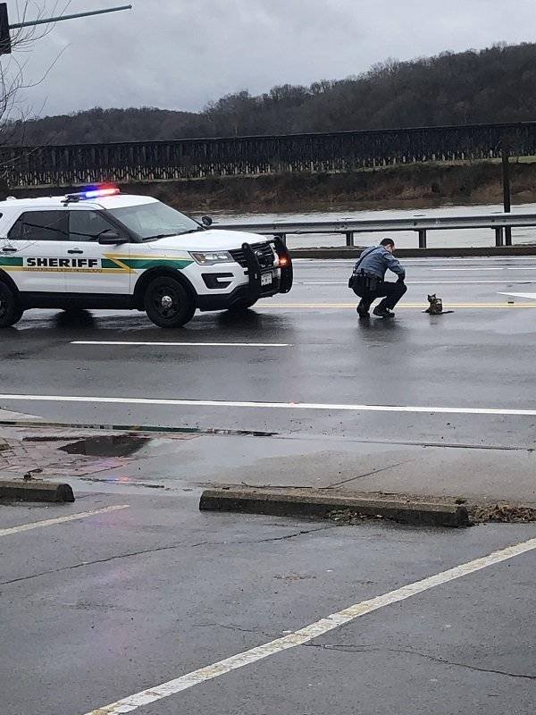 Police Has Fun (24 pics)