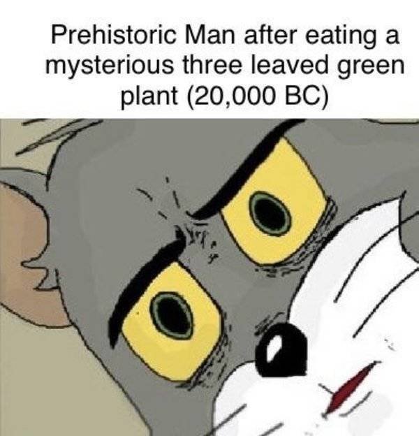 Prehistoric Memes (32 pics)