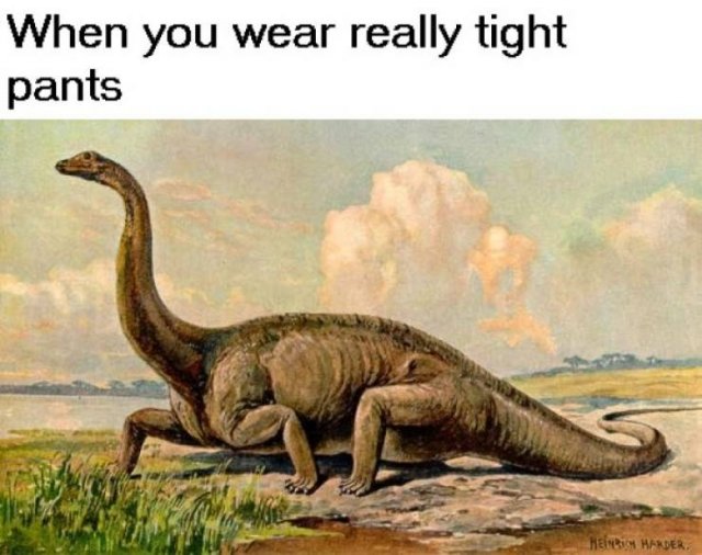 Prehistoric Memes (32 pics)