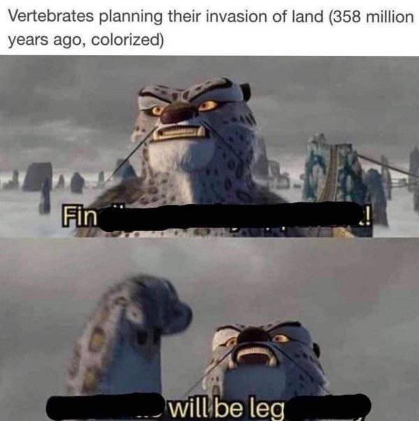 Prehistoric Memes (32 pics)