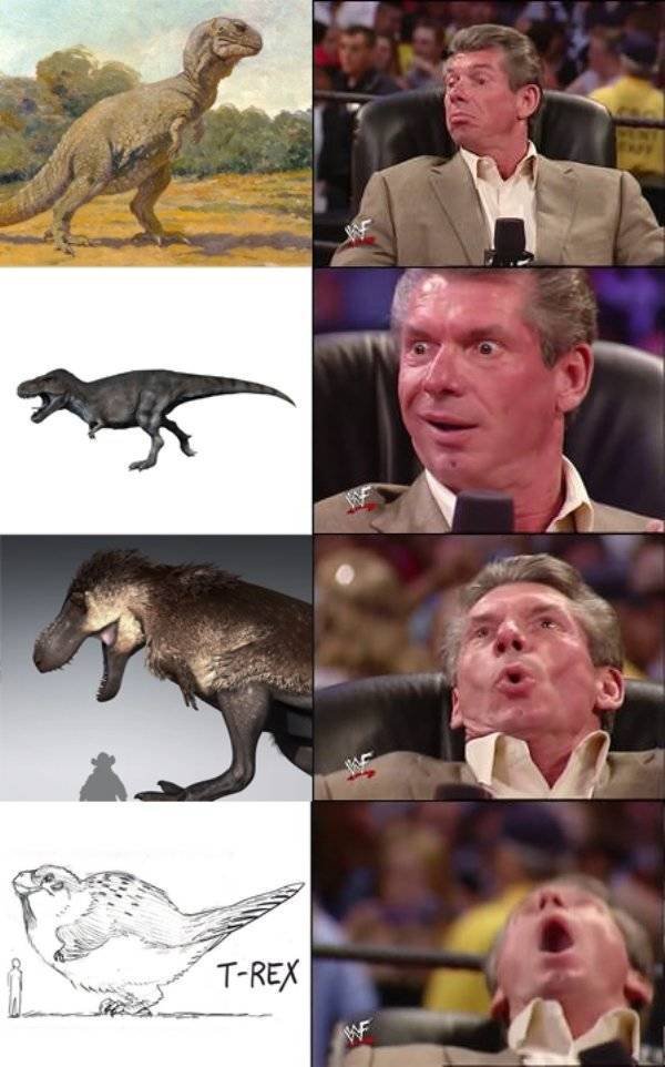 Prehistoric Memes (32 pics)