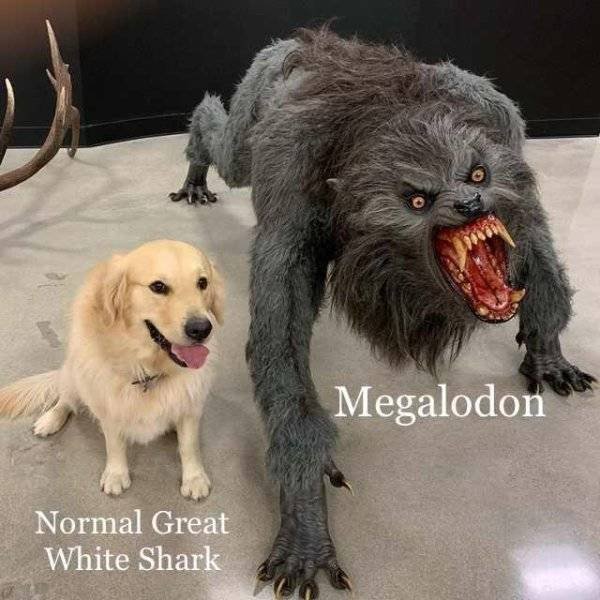 Prehistoric Memes (32 pics)
