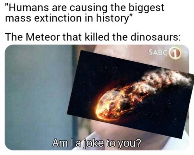 Prehistoric Memes (32 pics)