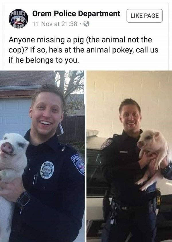 Police Has Fun (24 pics)