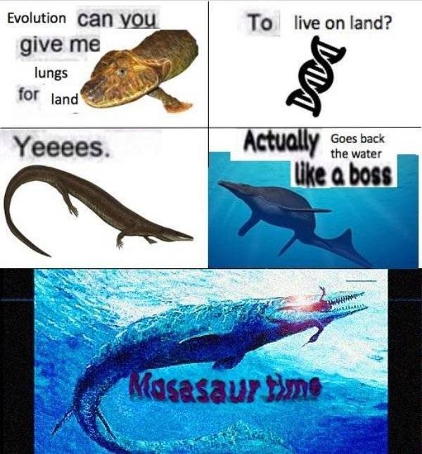 Prehistoric Memes (32 pics)