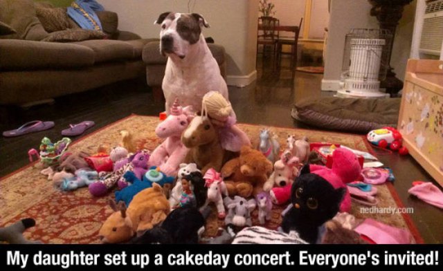 Life Is Beautiful, Remember It (44 pics)