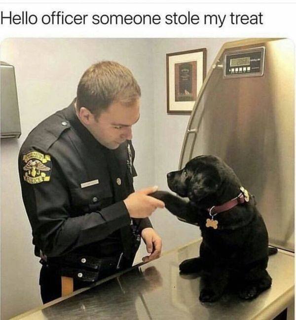 Police Has Fun (24 pics)