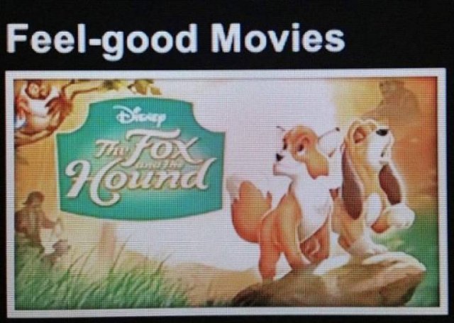 Netflix Can Be So Funny (26 pics)