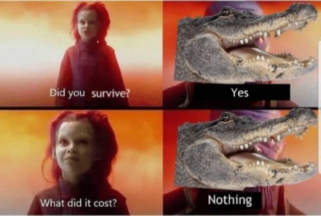 Prehistoric Memes (32 pics)