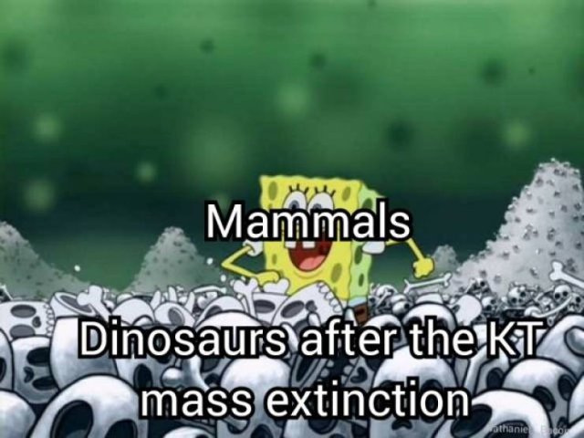 Prehistoric Memes (32 pics)