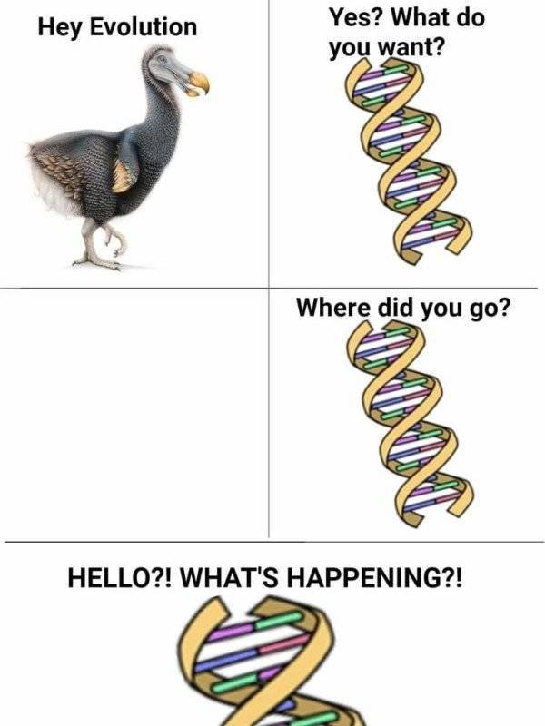 Prehistoric Memes (32 pics)
