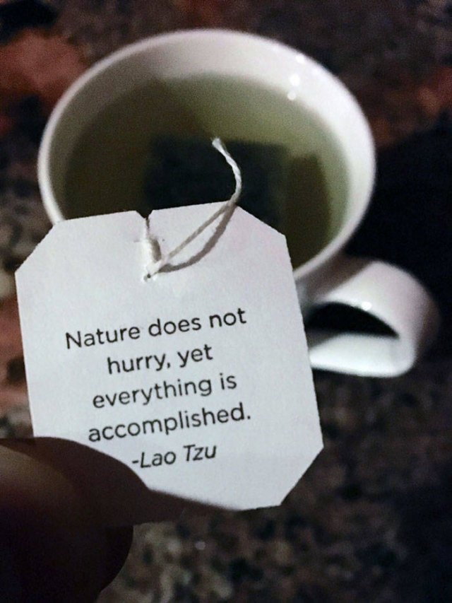 Motivation Is Very Important (42 pics)