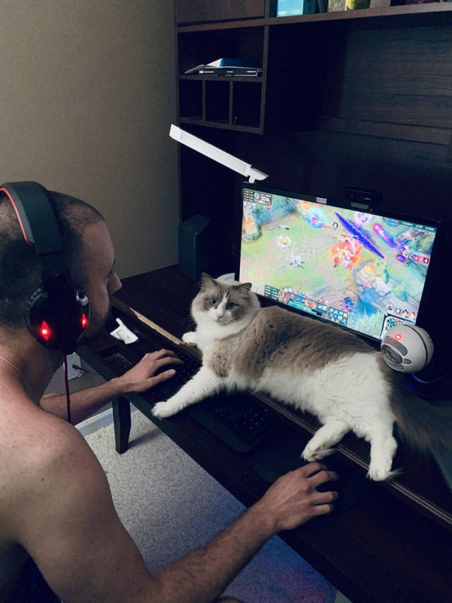 Acid Picdump. Part 2 (100 pics)