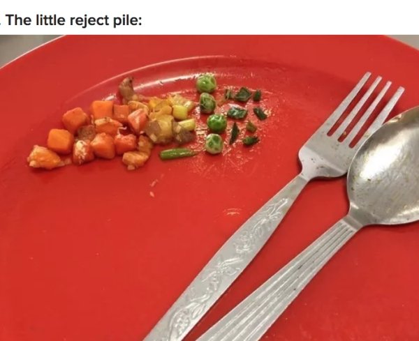 Memes About Picky Eaters (30 pics)