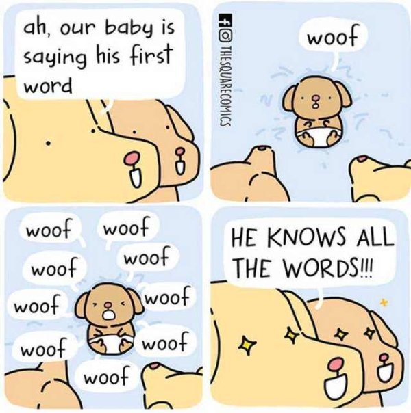 Dog Memes (27 pics)
