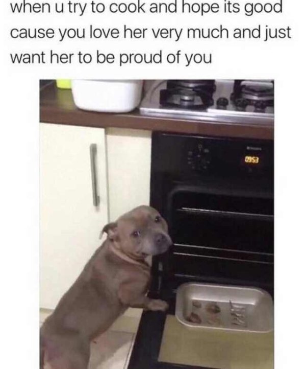 Dog Memes (27 pics)